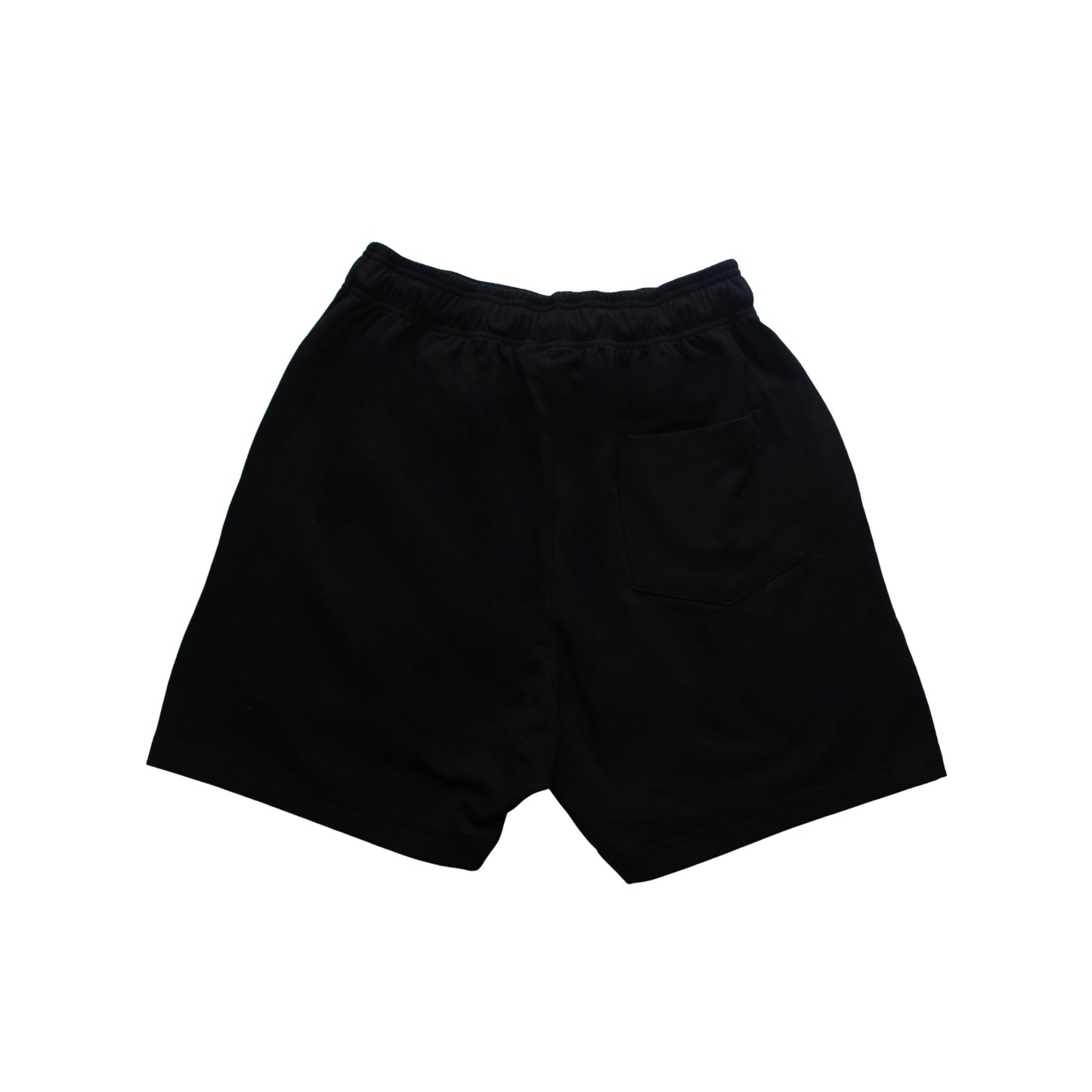 SW Men's Active Shorts